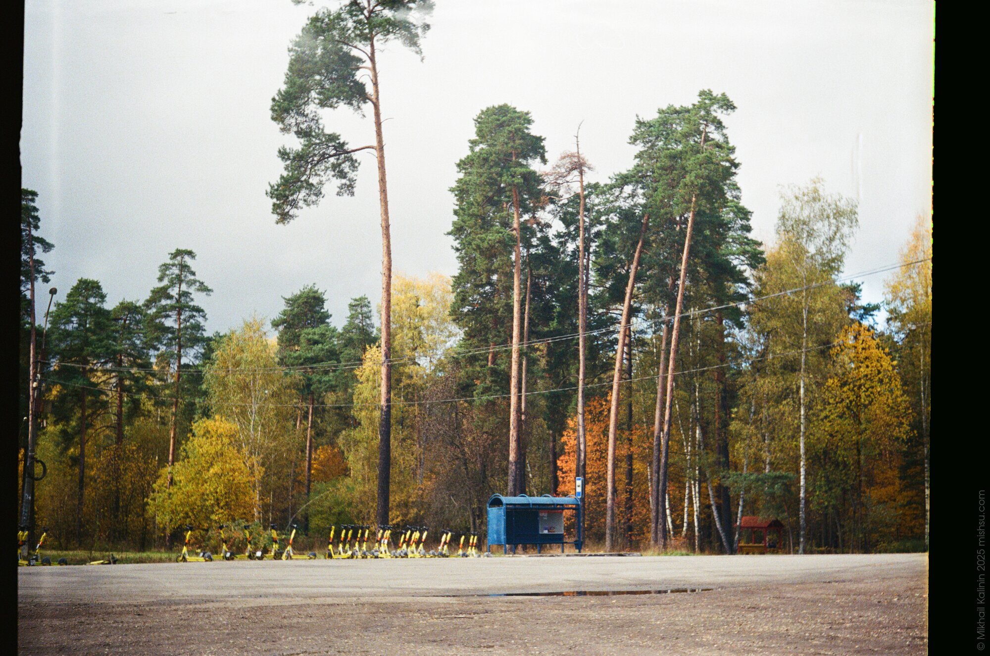 A blue busstop