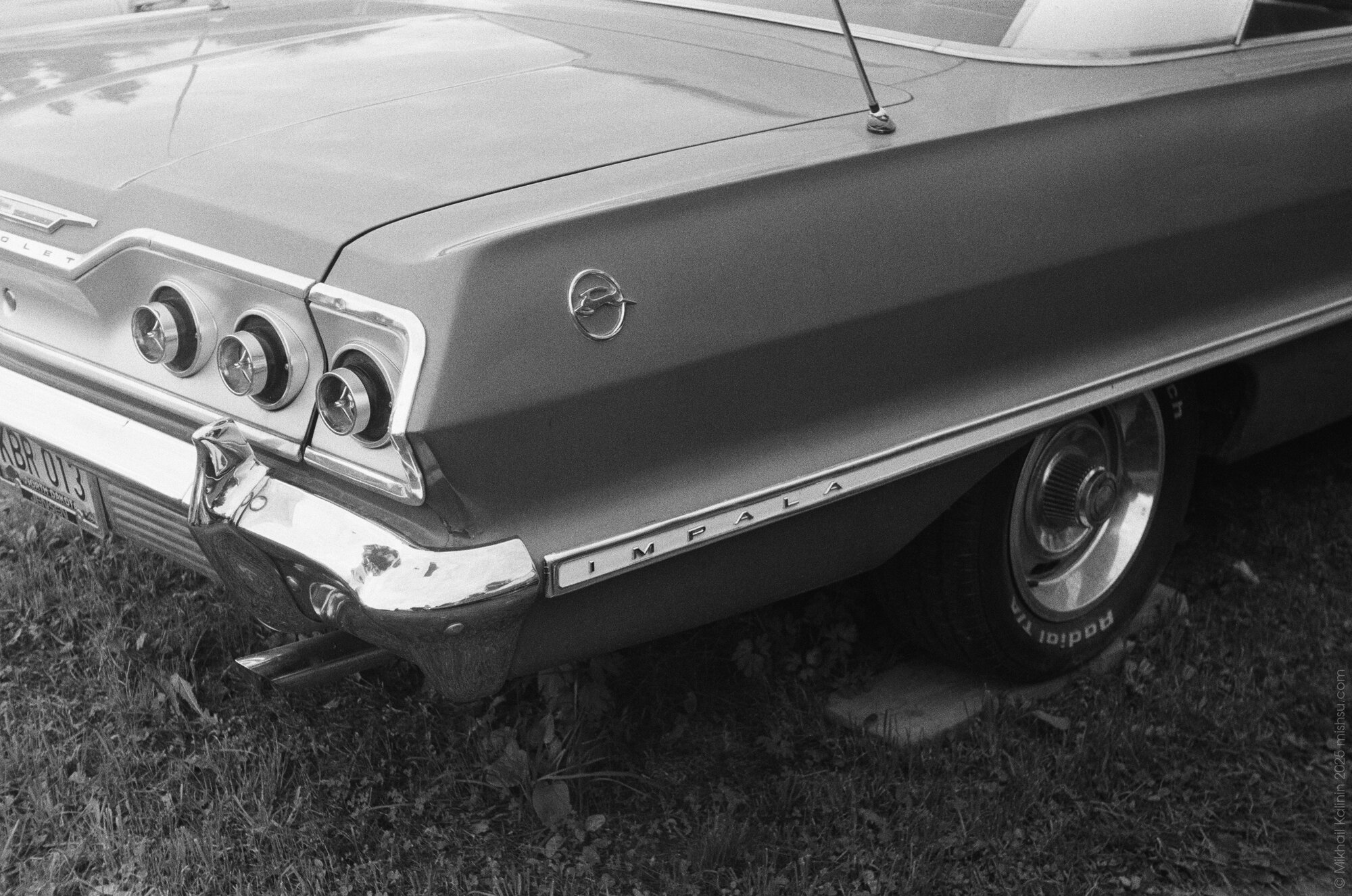 Black and White Impala