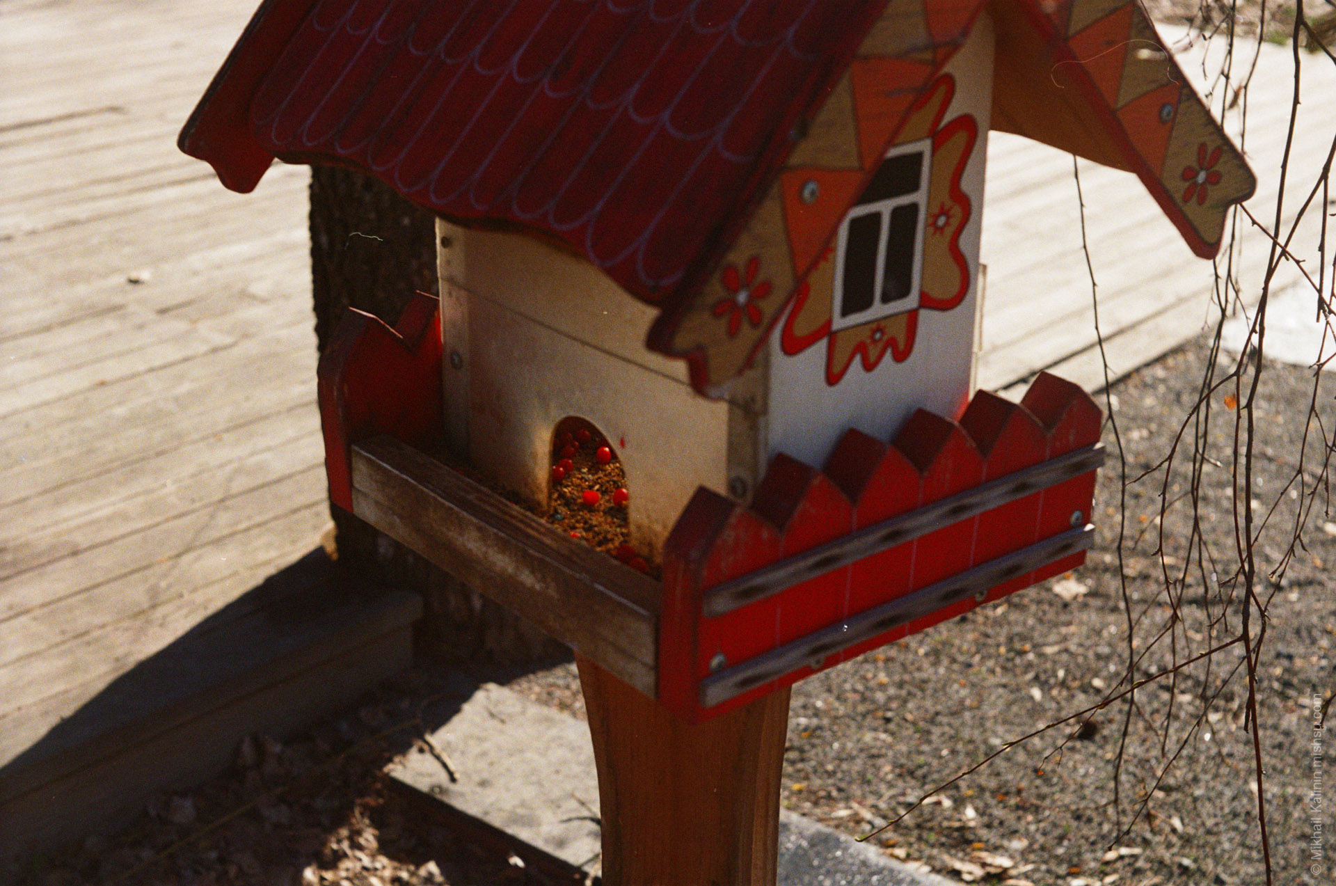Red Berries Inside Of A Nestling Box