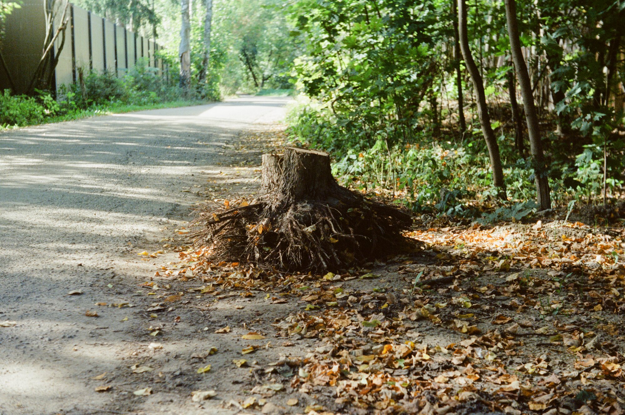 Road stump