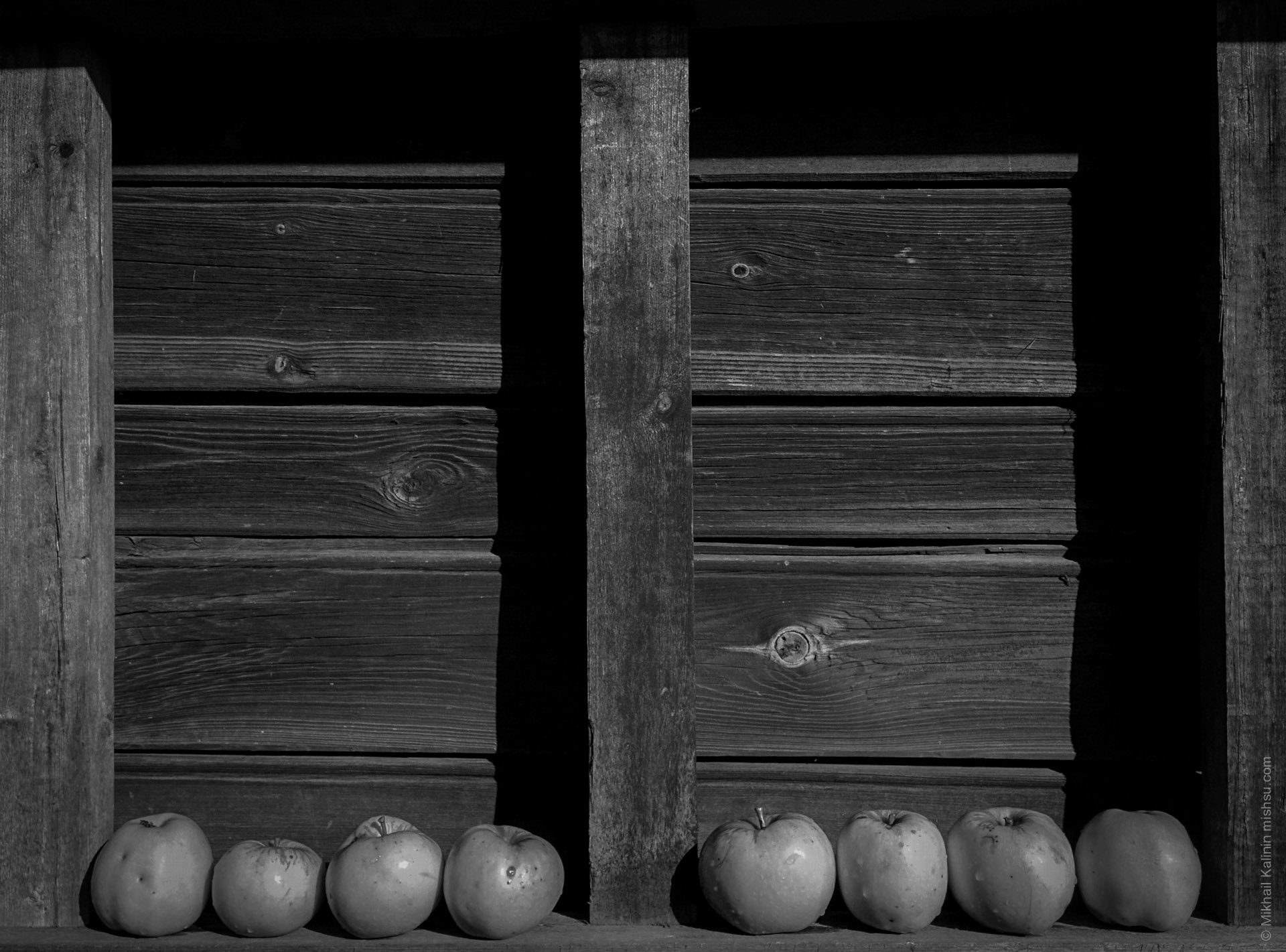 Apples Under The Sun