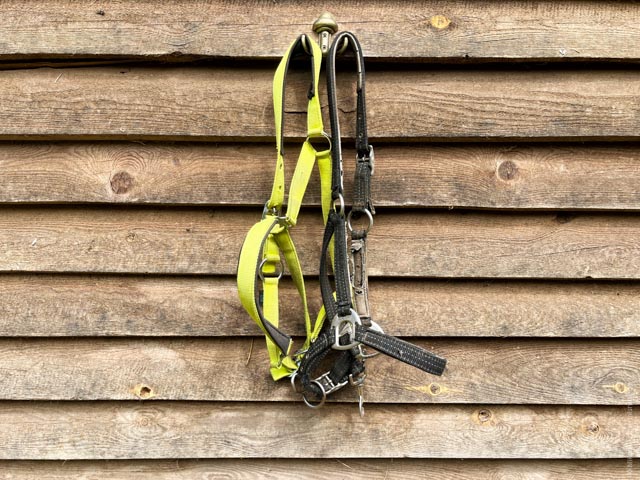 Horse Harness