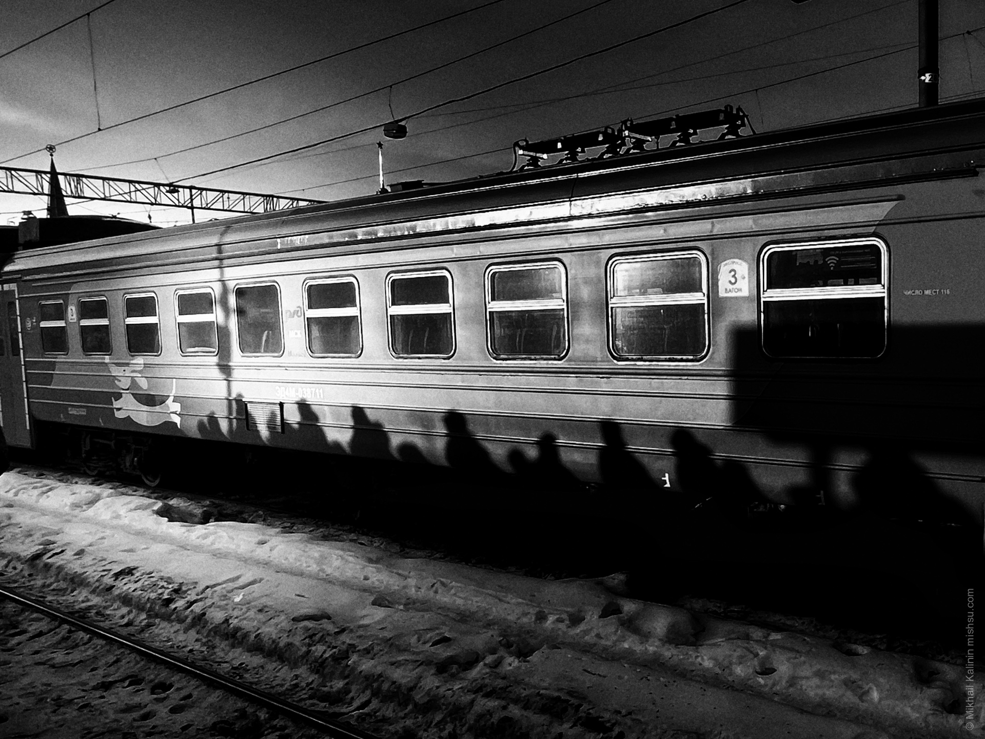 Rex the dog is leading, Moscow